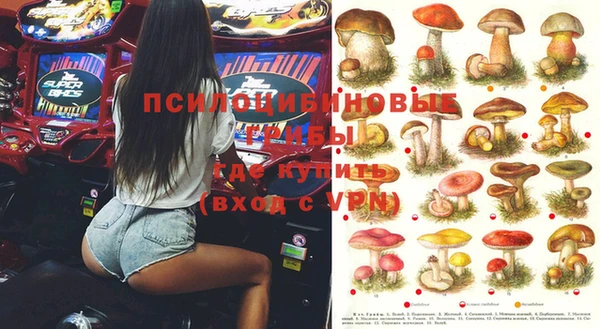 индика Белокуриха