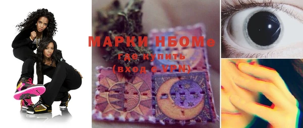 индика Белокуриха