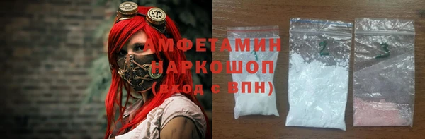 индика Белокуриха