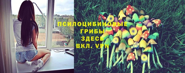 ГАЛЛЮЦИНОГЕННЫЕ ГРИБЫ Богородск
