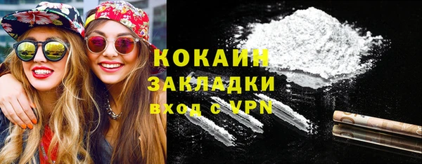 индика Белокуриха