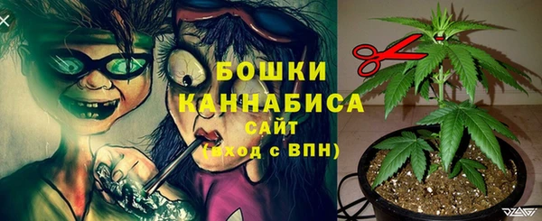 ПСИЛОЦИБИНОВЫЕ ГРИБЫ Беломорск
