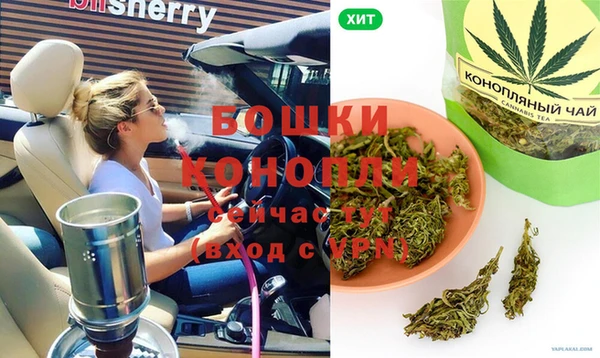 ешки Богданович